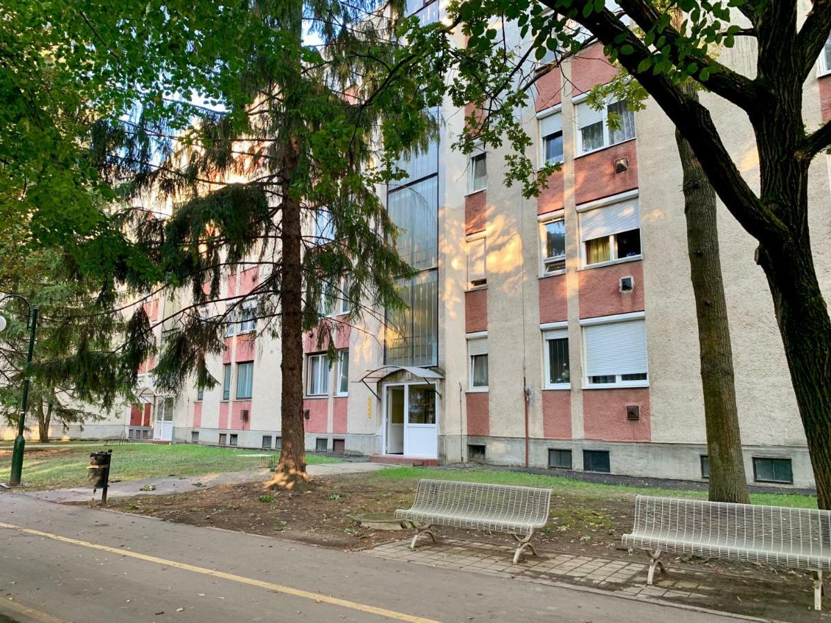 Hajdúszoboszló Anita Apartman מראה חיצוני תמונה